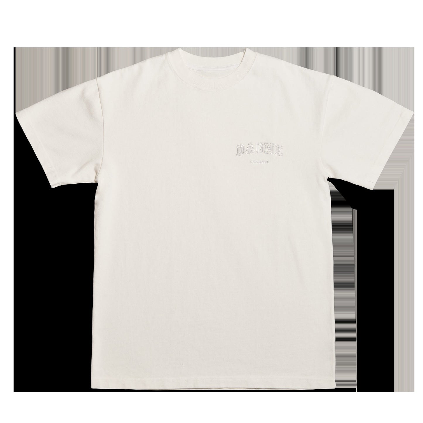 Varsity Logo T-shirt in Moonbeam, Large