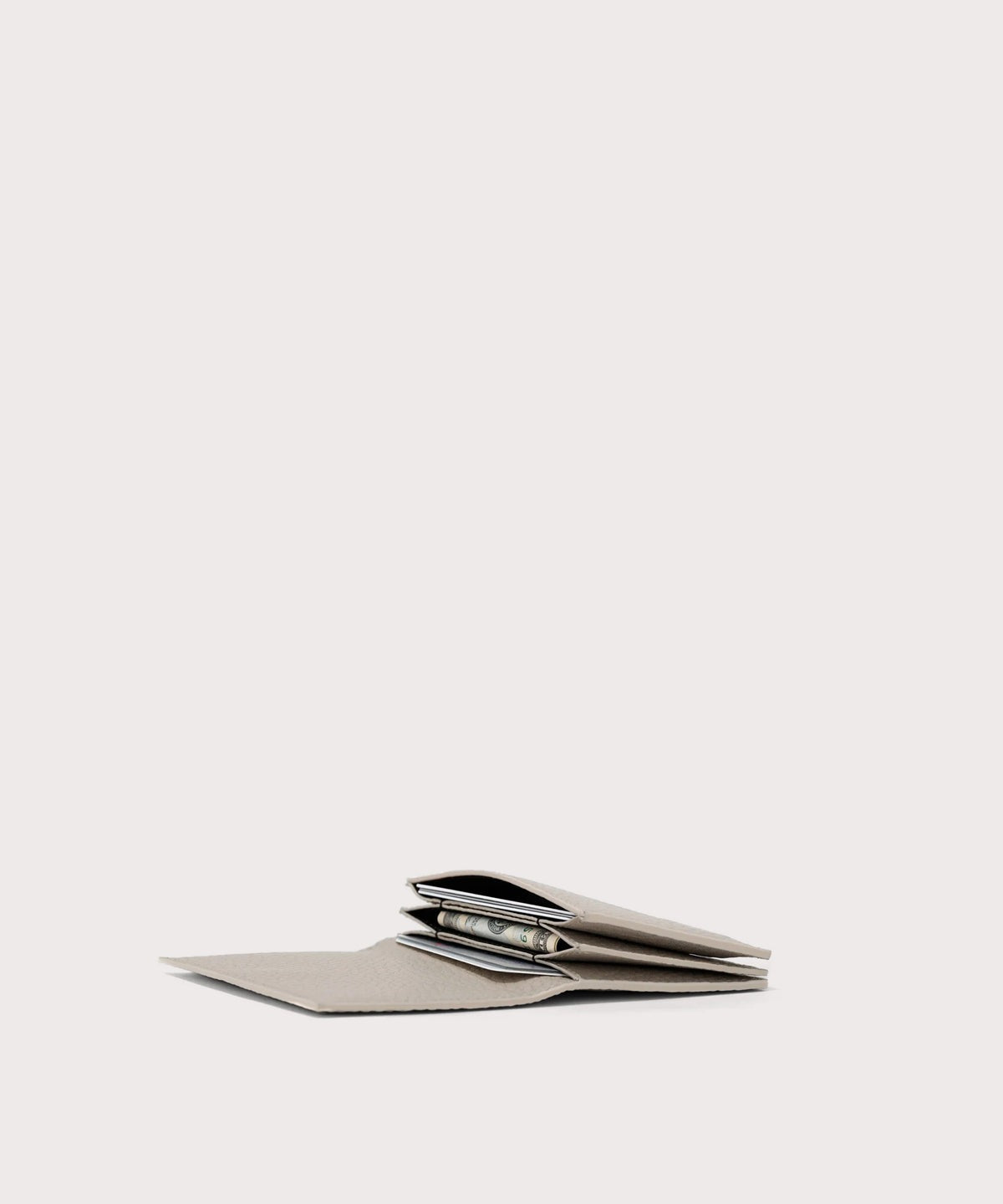 Accordion Card Case in Bone
