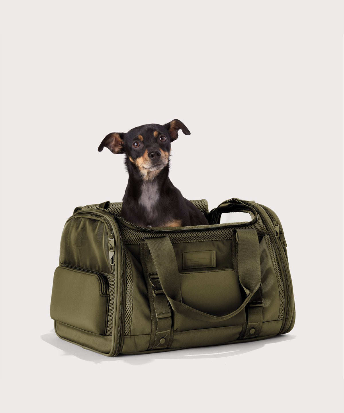 Kyoto Pet Carrier in Dark Moss, Large