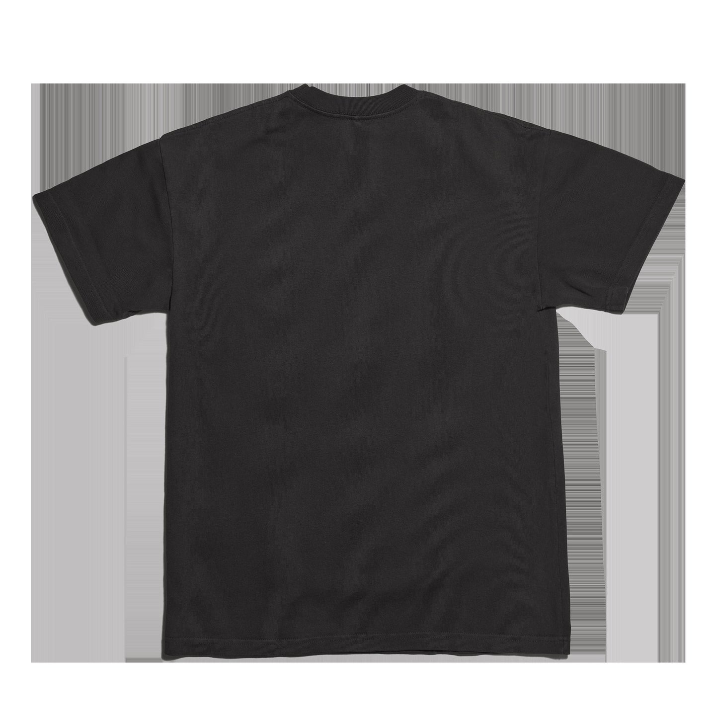 Varsity Logo T-shirt in Onyx, Medium