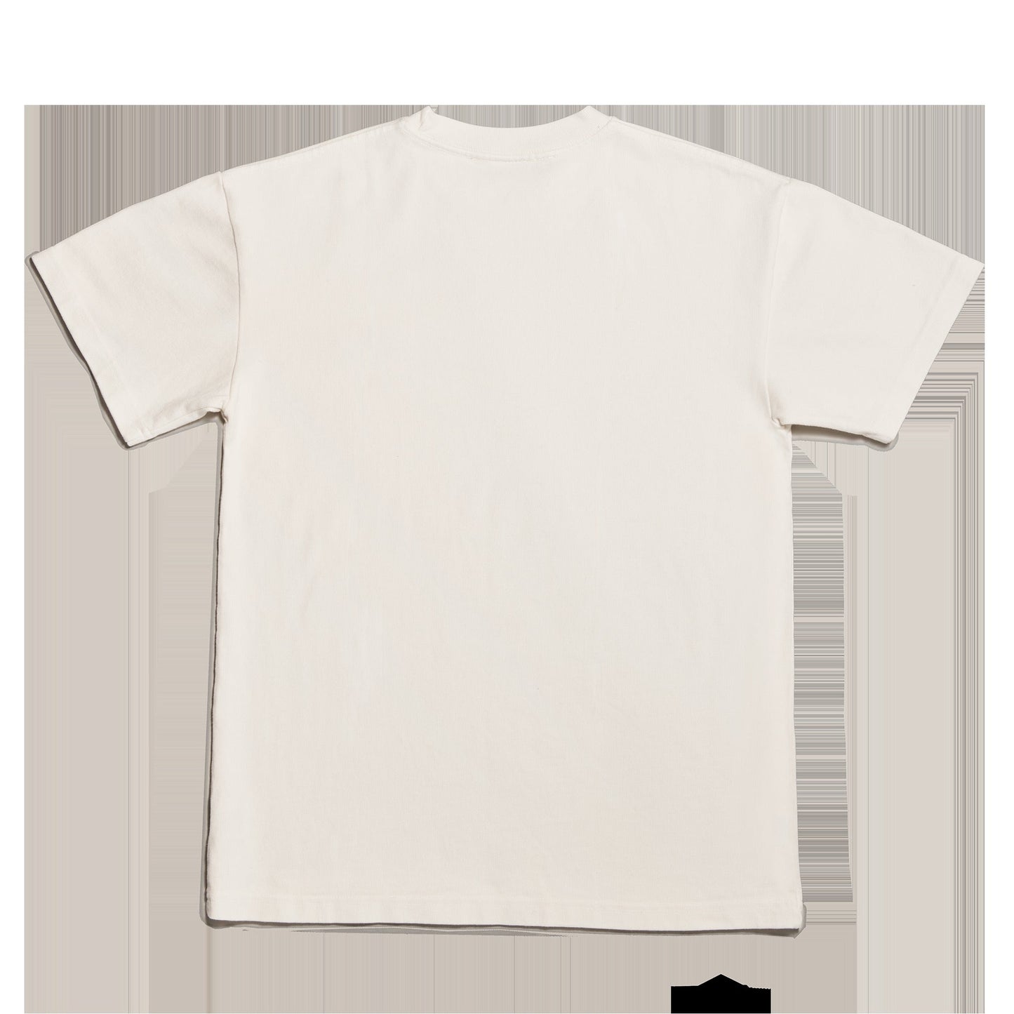 Varsity Logo T-shirt in Moonbeam, Large