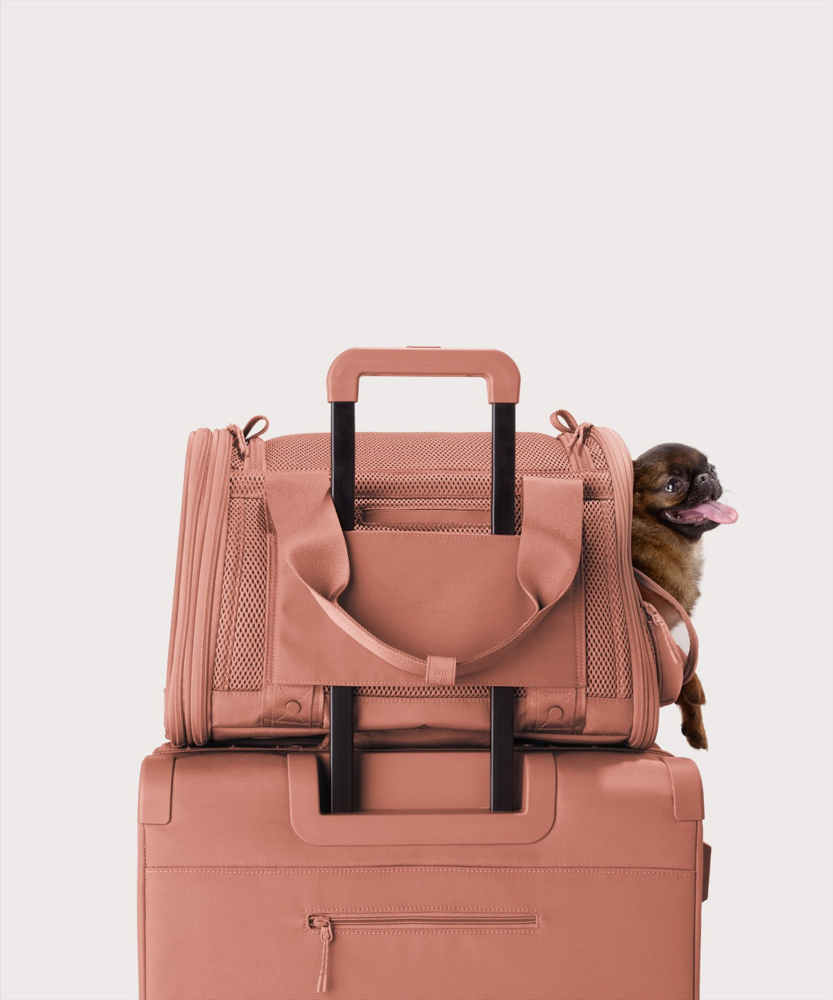 Kyoto Pet Carrier in Warm Dust, Small