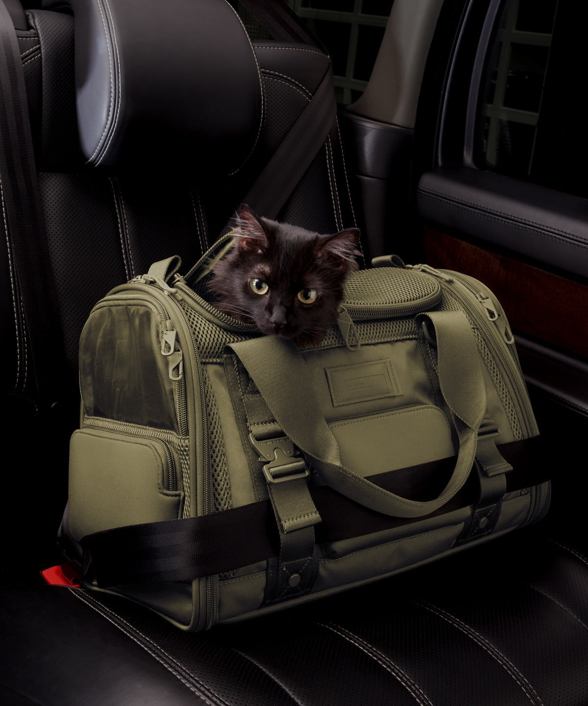 Kyoto Pet Carrier in Dark Moss, Small