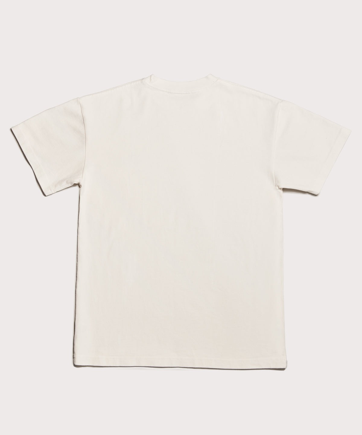 Varsity Logo T-shirt in Moonbeam, Large